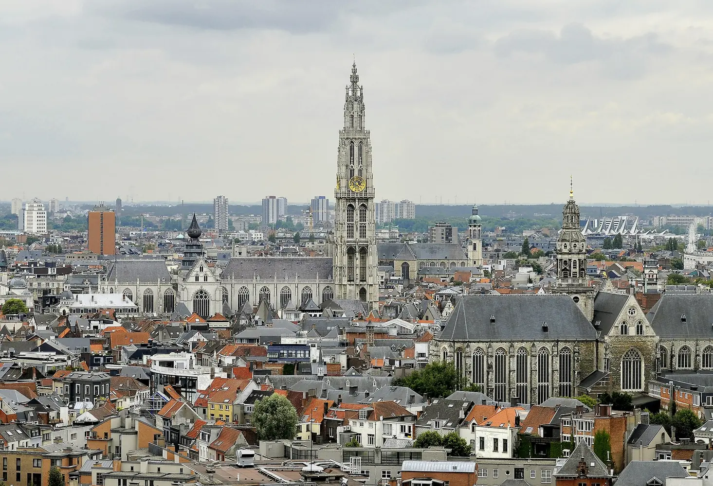 Dronelicentie in Antwerpen